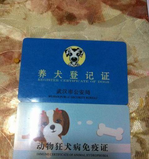 上海普陀区狗证办理全攻略（宠物狗的法定身份证）
