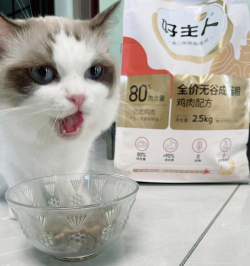 如何选择适合宠物的猫粮（避免让你的猫咪变胖）