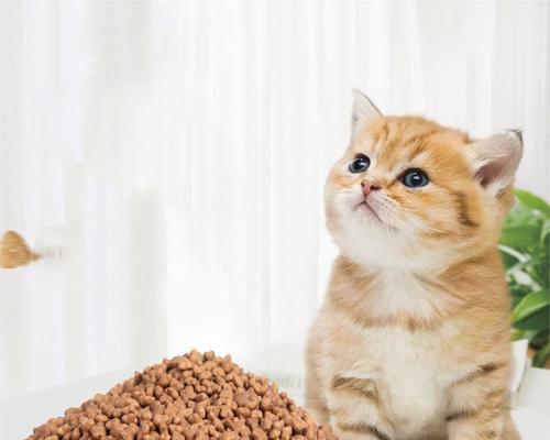 如何选择性价比高的天然猫粮（以健康为前提）
