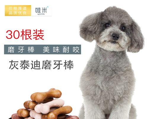 手术后如何调理狗狗的饮食（以宠物为主）