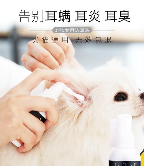 泰迪狗中耳炎的治疗方法（以宠物为主）