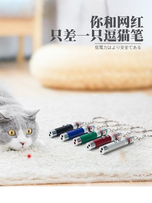 猫咪为什么怕激光笔（揭秘猫咪对激光笔的恐惧心理）