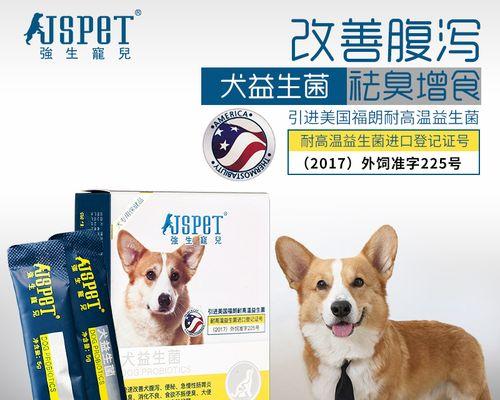 救命啊！小猫拉稀怎么办（宠物的拉稀症状及解决方法）
