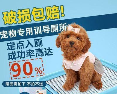 7个月宠物狗狗拉肚子处理攻略（针对不同情况的处理方法）