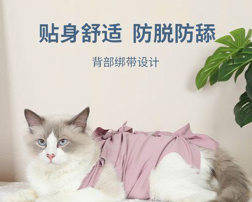 公猫咪绝育手术的最佳时机（关爱宠物健康）