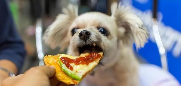 预防措施、饮食安排、症状识别、药物治疗等方面（预防措施）