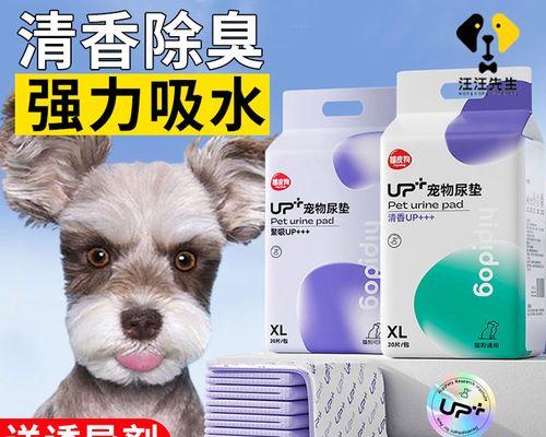 狗狗大便为什么会发白（探究狗狗大便异常情况）
