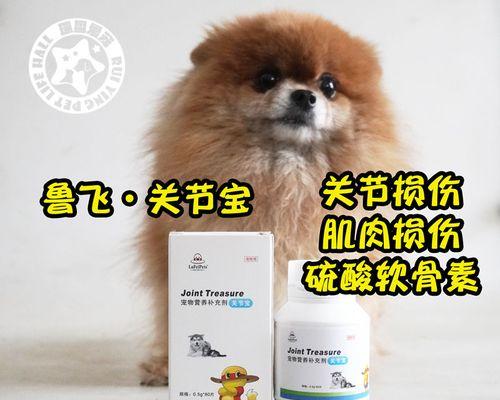 狗狗的钙片能给猫咪吃吗（宠物营养需求的重要性与注意事项）