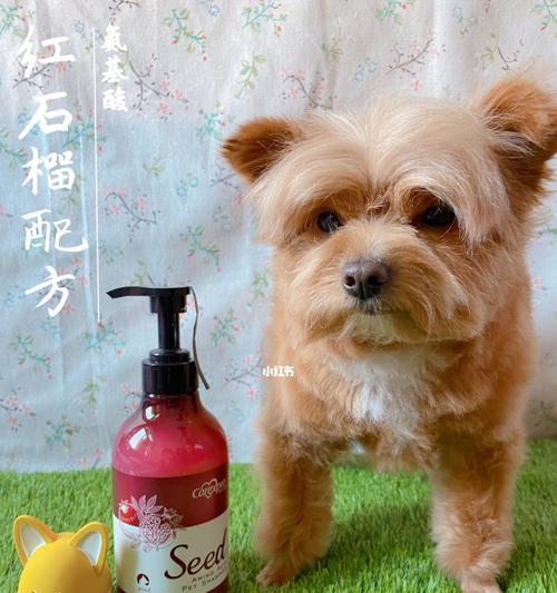 如何选购适合狗狗的沐浴露（以宠物为主）