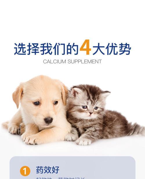 狗狗干咳怎么办（以宠物为主）