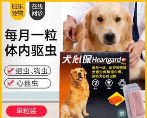 宠物拉肚子后喂驱虫药是否安全（如何正确给宠物使用驱虫药）