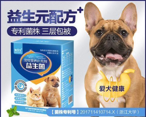 狗狗吐出来的血是什么颜色（了解狗狗的健康状况）