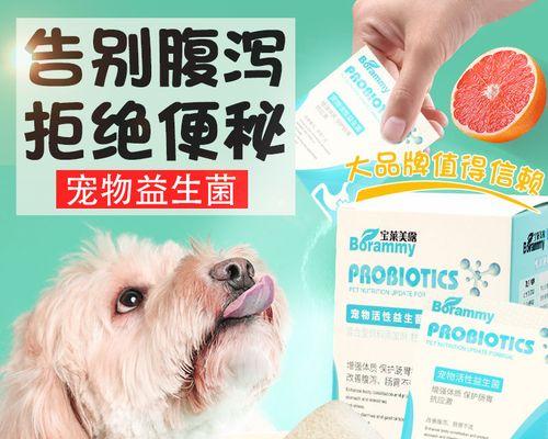 主题：狗为什么会吐东西及应对方法