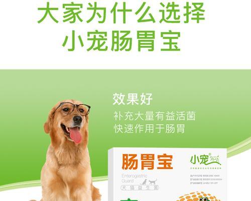 怎样让宠物犬拉肚子吃药（以成狗为例）