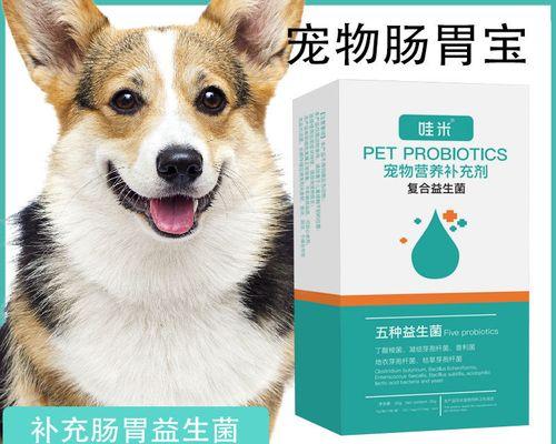 出生三天的小狗拉几次（探究幼犬排泄频率及）