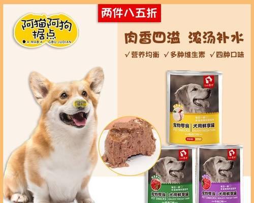 如何清洁出生小狗（以宠物为主）