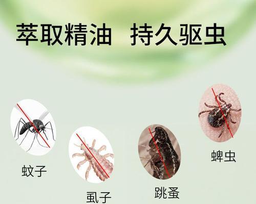 以宠物为主的跳蚤灭除方法（以宠物为主的跳蚤灭除方法）