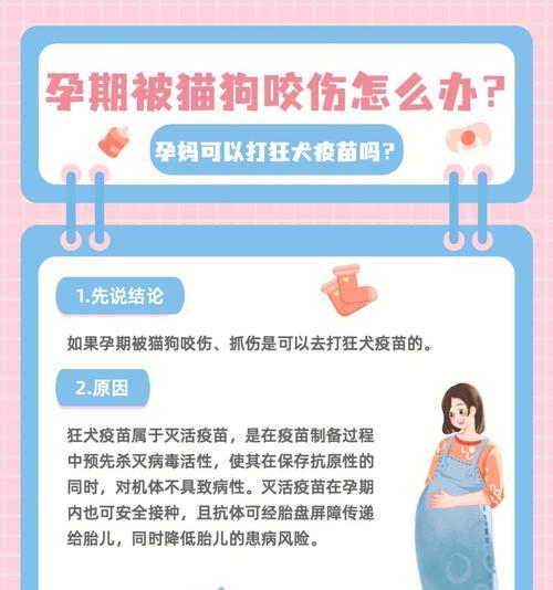 打了狂犬疫苗后的反应（宠物打狂犬疫苗后需注意的反应及处理方法）