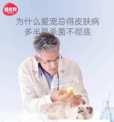 化验宠物狗狗粪便需要多久时间（了解狗狗健康状况的必要性与化验粪便的流程）