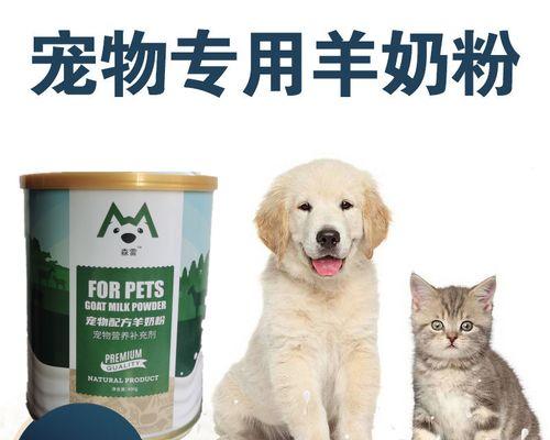 怀孕了该如何照顾宠物狗（孕期养狗注意事项及解决方案）