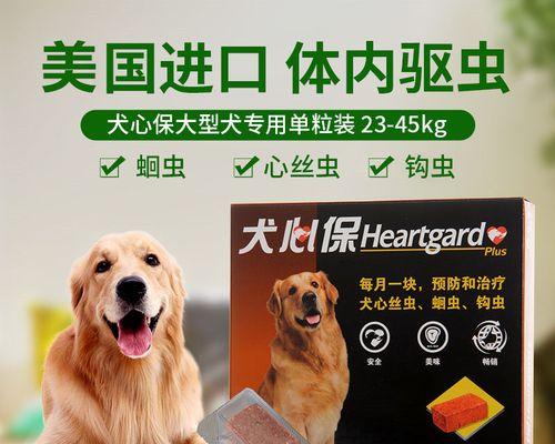 如何正确为几个月大的小狗进行体内驱虫（宠物健康必备）