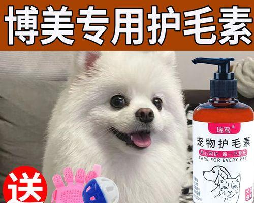 如何在家里做好狗狗消毒（家庭犬的消毒步骤和注意事项）