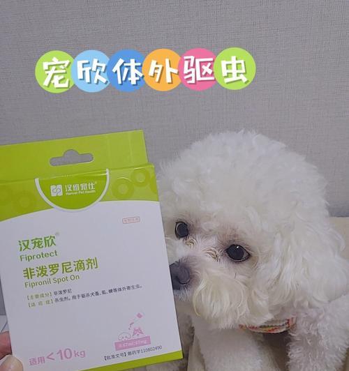家里有狗驱虫，不可忽视的重要性（从宠物健康）