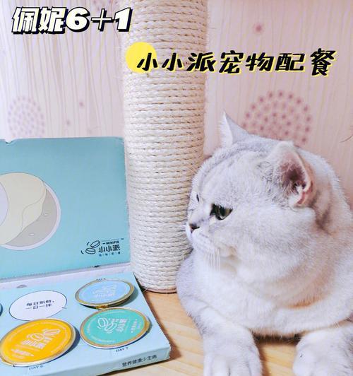 自制猫咪营养餐（用宠物为主的健康食谱）