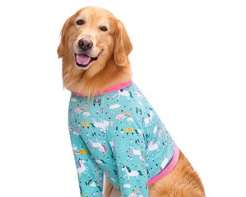 探寻金毛拉布拉多犬混血的魅力（了解这种混血宠物的优点与特点）