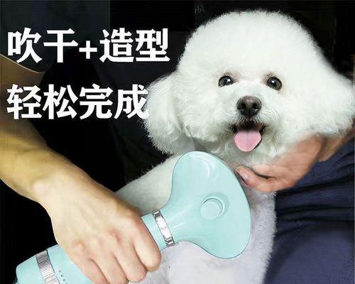 洗猫咪必须知道的技巧和注意事项（宠物用吹嘴洗澡的好处和步骤）