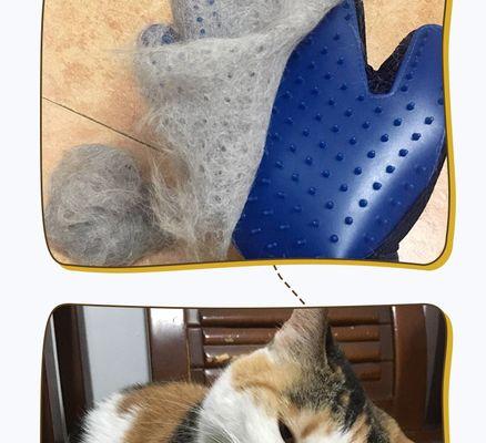 猫咪夏季脱毛瘦弱，如何有效护理（夏天猫咪脱毛与瘦身问题的解决方案）