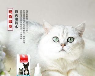 猫咪消炎药物治疗指南（以宠物为主）