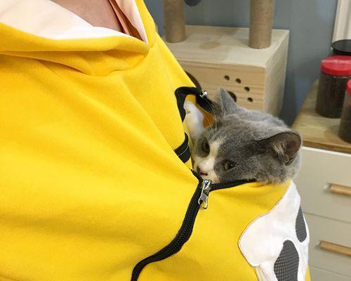 猫咪胸前长很多包，该如何处理（了解猫咪胸部包块、病因及治疗方法）