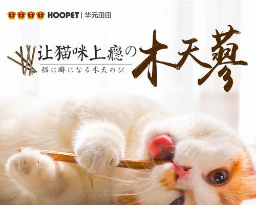 猫咪为什么会发出磨牙声（宠物猫需要磨牙吗）