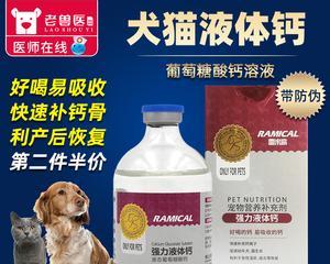 猫咪健康必备——液体钙（猫咪液体钙的使用方法与注意事项）