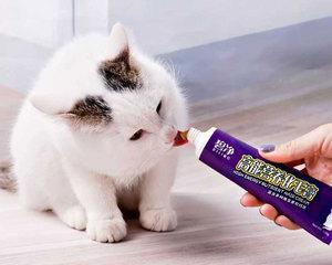 猫咪营养粉是否需要每天食用（揭开猫咪营养粉的真相）
