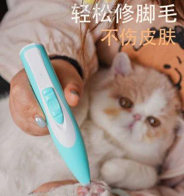 小猫为什么不让碰脚掌（揭秘宠物行为奥秘）