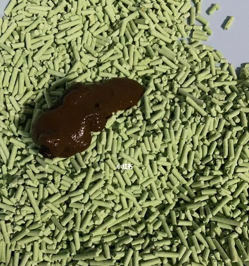 小猫拉稀怎么办（宠物主人必读！长期拉稀的小猫该如何护理）