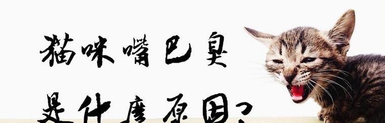 小猫吃东西吞咽困难，这可能是什么原因（探究小猫吞咽困难的原因及解决办法）