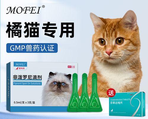 小猫驱虫指南（以食物为武器）