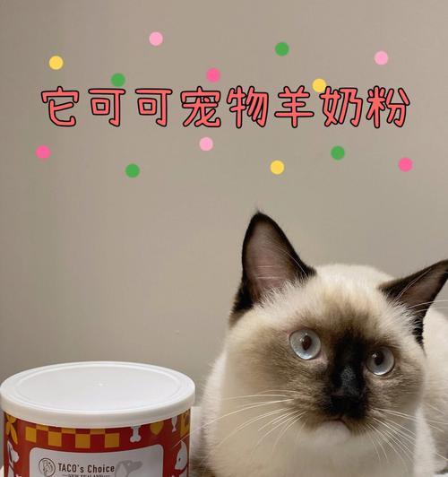 小猫还能喝什么奶（除了羊奶）