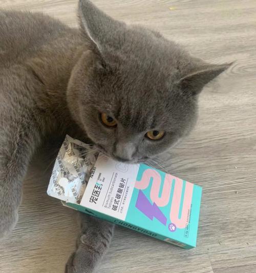 小猫肚子拉稀，你需要知道的一切（如何帮助你的小猫摆脱拉稀）