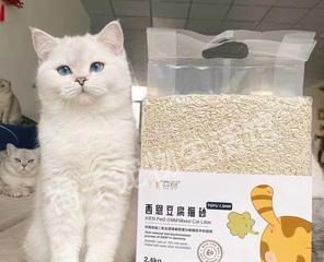 小猫何时开始使用猫砂（探究小猫使用猫砂的适宜年龄和注意事项）