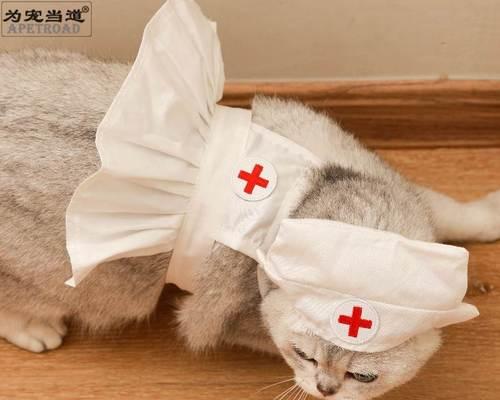 小猫后腿尿湿一直抖，怎么办（教你如何治疗小猫的尿路感染）