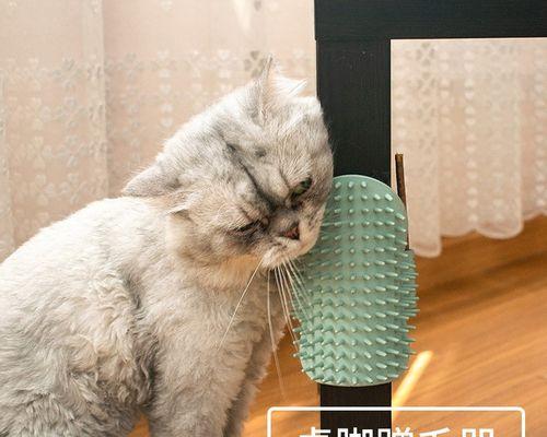 小猫痒得不行（揭秘宠物痒痒的背后原因）