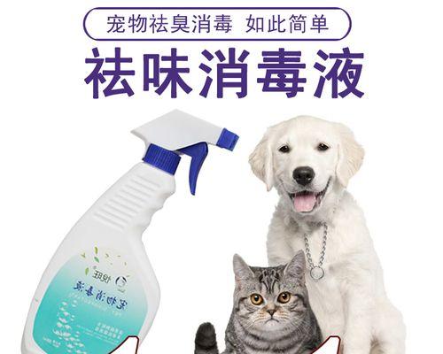 小猫拉尿频率解析（探究宠物小猫拉尿的规律及注意事项）