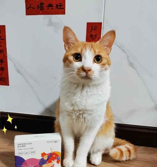 小猫拉稀原因及处理方法（宠物主人必看）