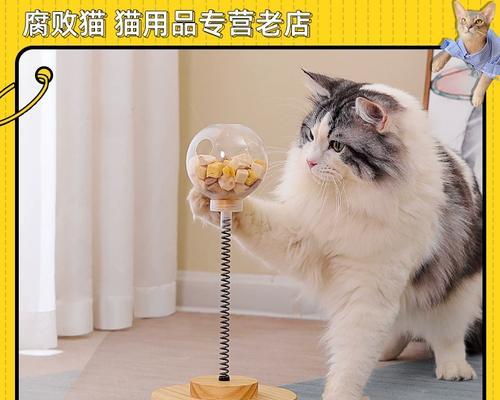 小猫老想着咬我，宠物如此还能爱吗（当我们爱上一只爱咬人的宠物）