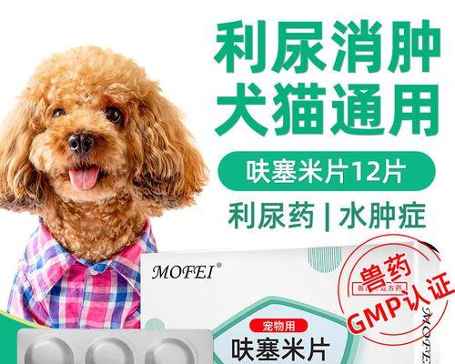 猫咪的尿道结石——如何预防和治疗（了解尿道结石的成因和症状）
