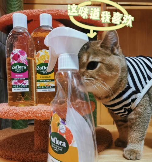 猫咪最爱的香水（探寻猫咪喜欢的气味）